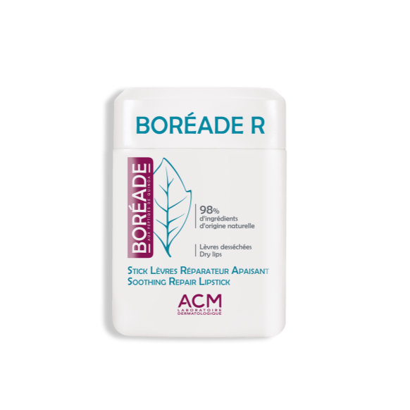 BOREADE STICK REPARADOR 9.2