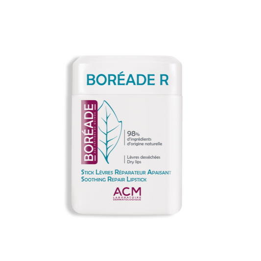 BOREADE STICK REPARADOR 9.2