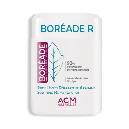 BOREADE STICK REPARADOR 9.2